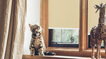 Grandekor cat-friendly blinds and shades