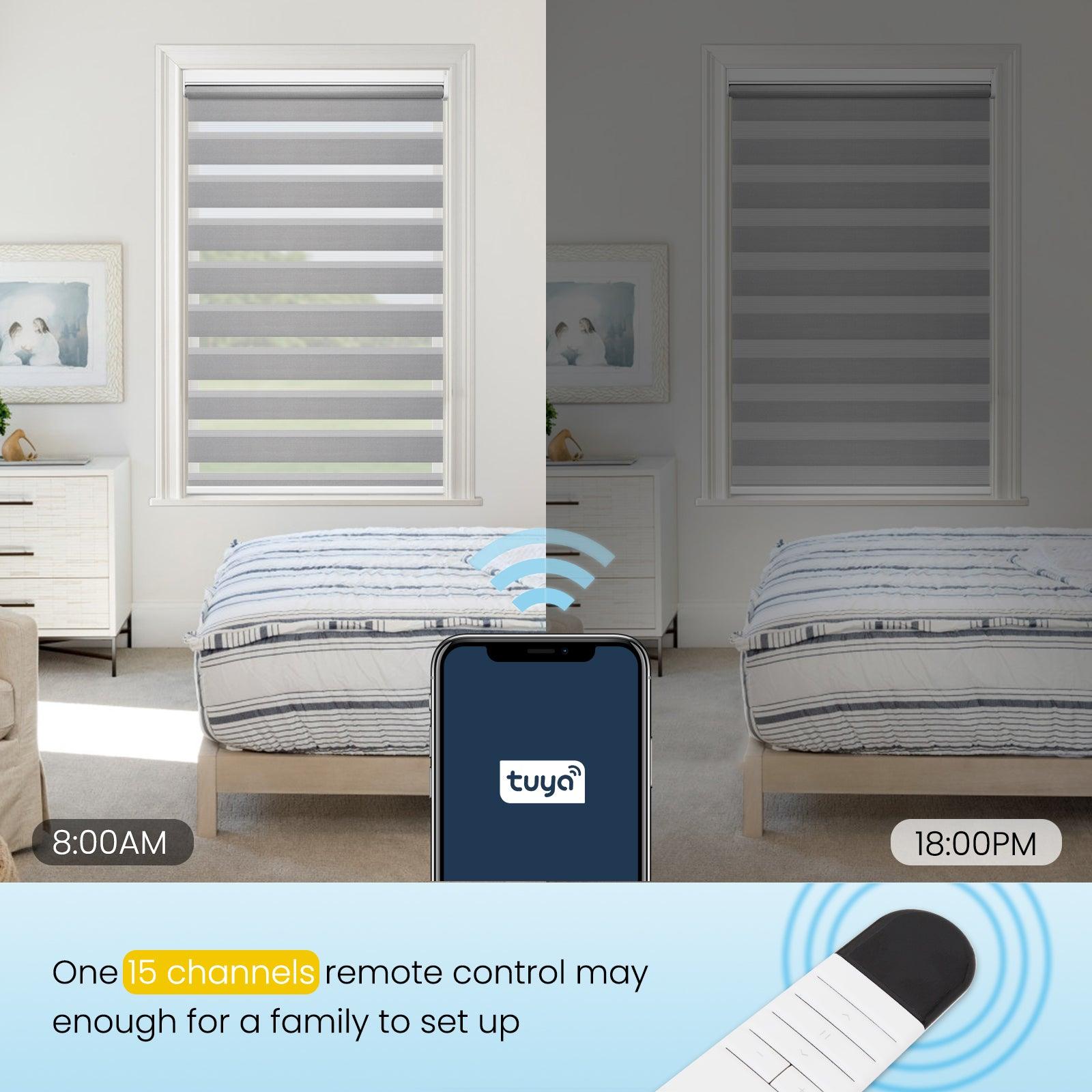 Grandekor-M100 Light Filtering Zebra Shades