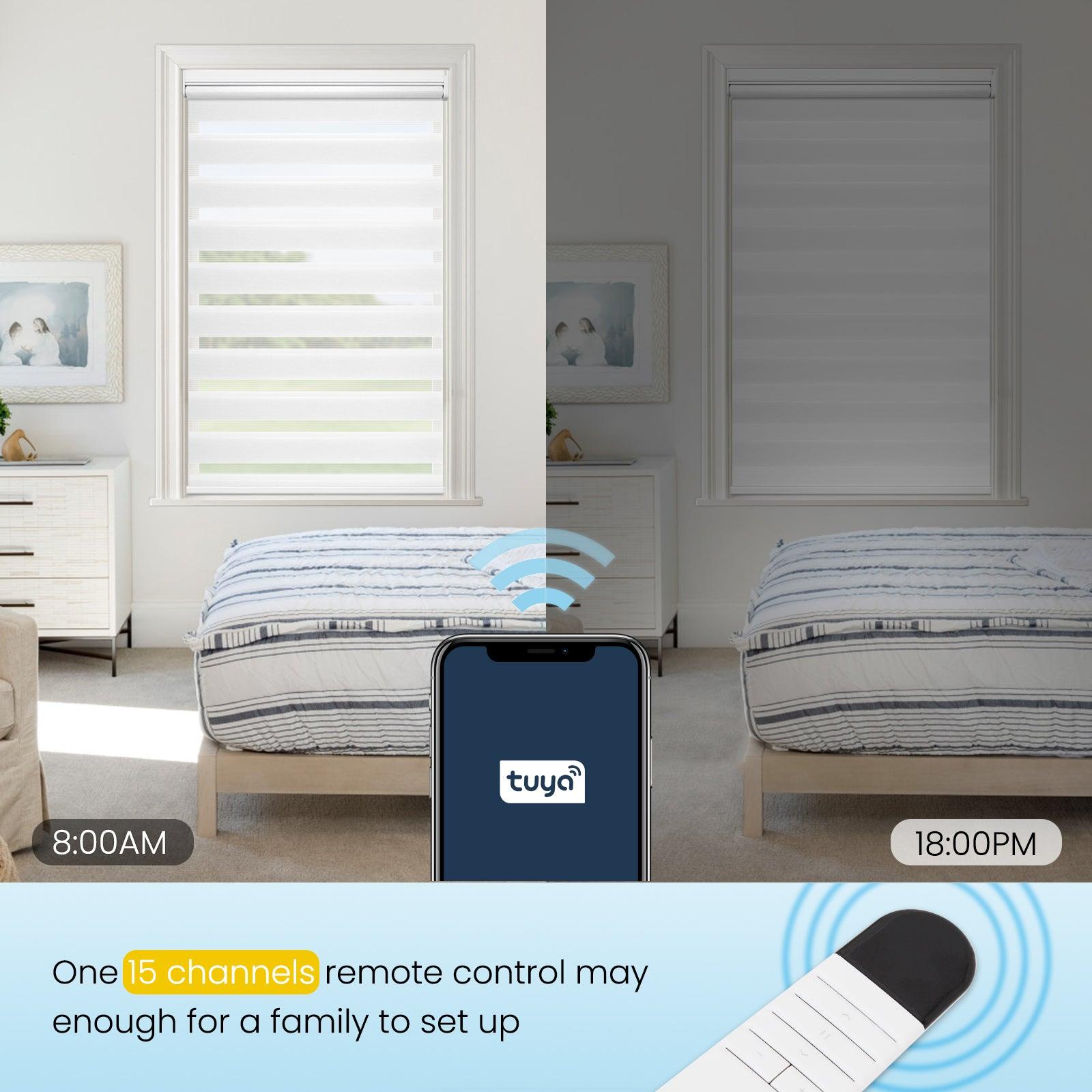 Grandekor-smart zebra blinds