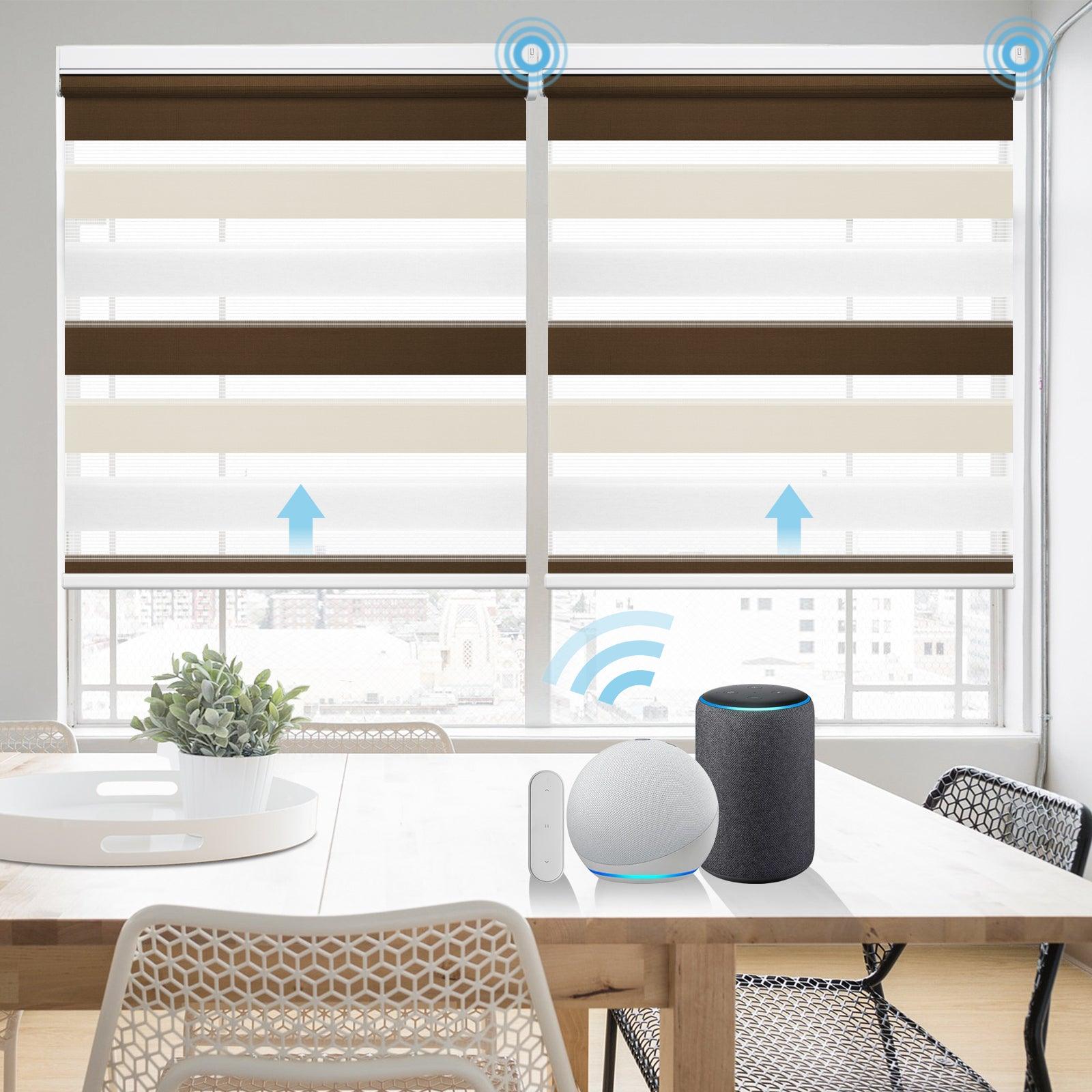 Grandekor-M100 Light Filtering Zebra Shades