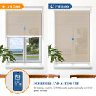 electric operated blinds to schedule and automate your routine